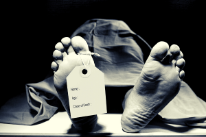 The Rise in Opioid-Related Deaths: A Public Health Crisis