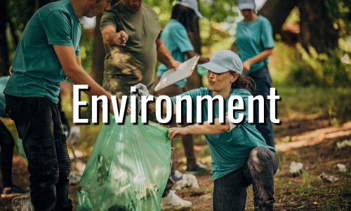 Environment